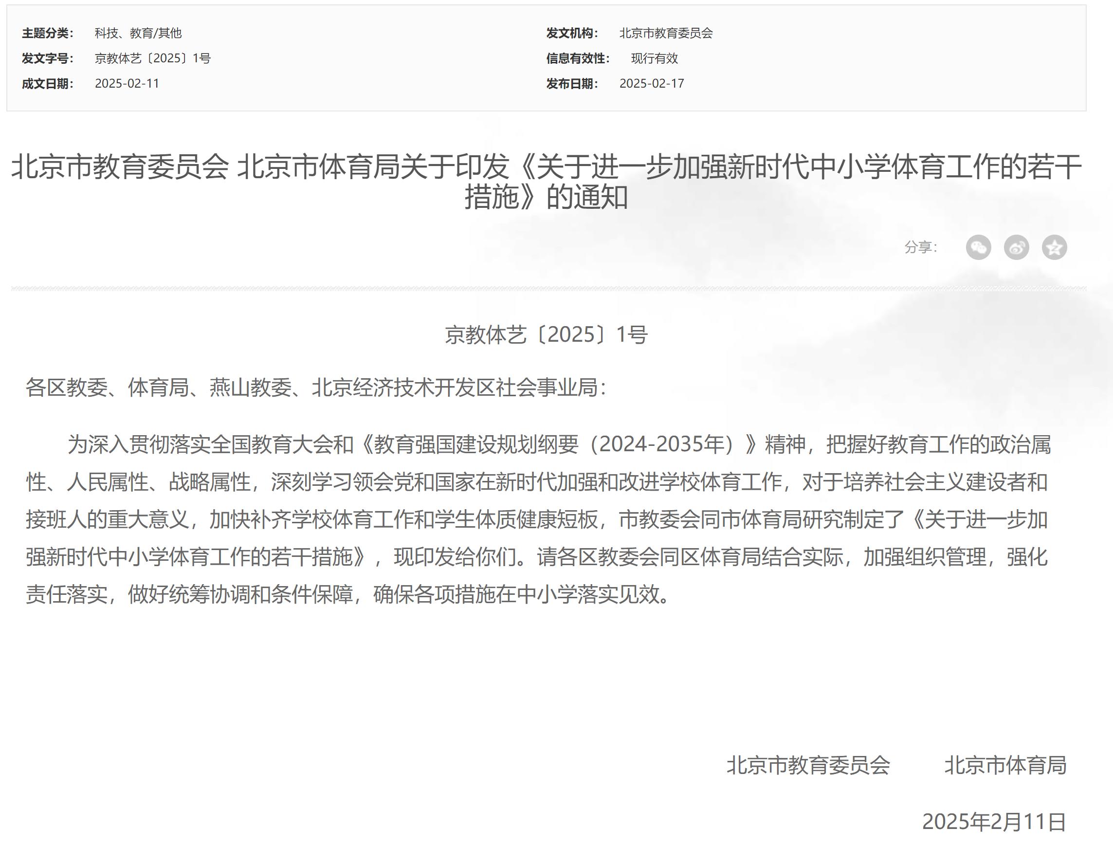 战术与团队